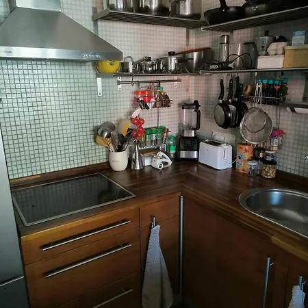 Charming Rustic Duplex Penthouse Ribes De Freser